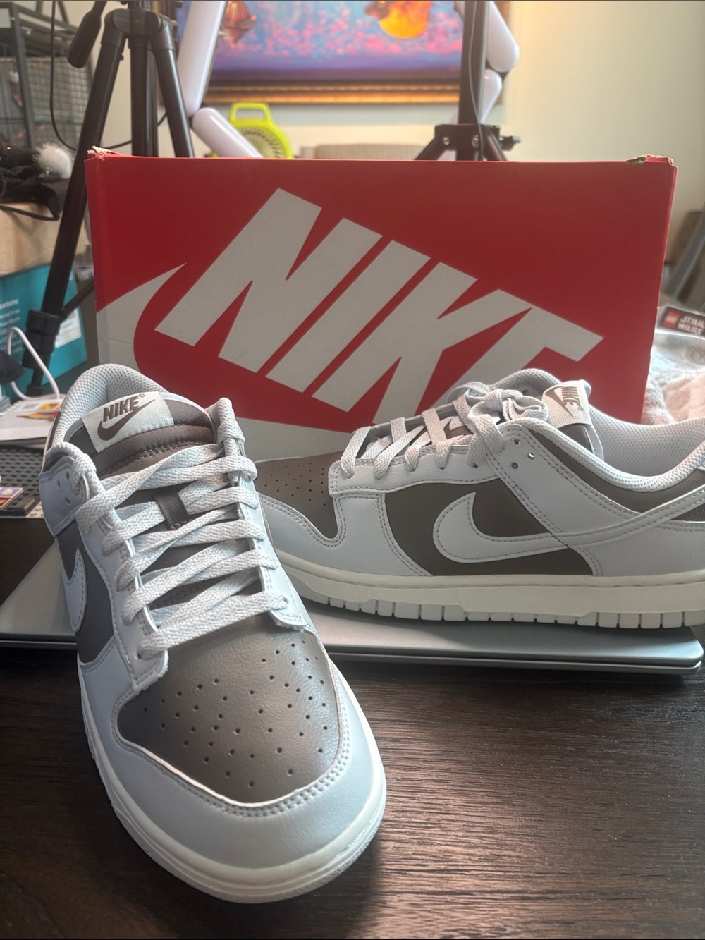 Nike Men’s Low-Top Sneakers in White and Gray
